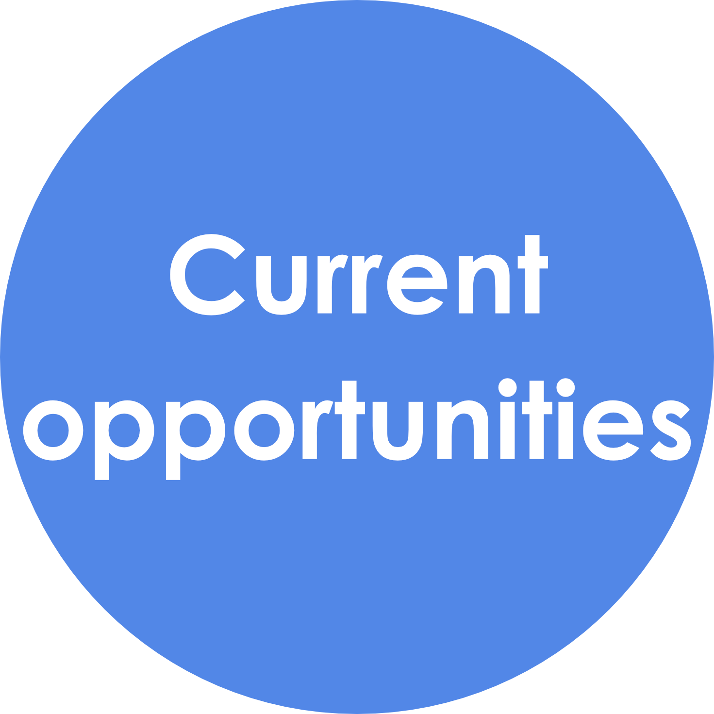 Current opportunities